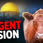 I Saw Israel’s Shaking & the Red Heifer [End-Time Vision]